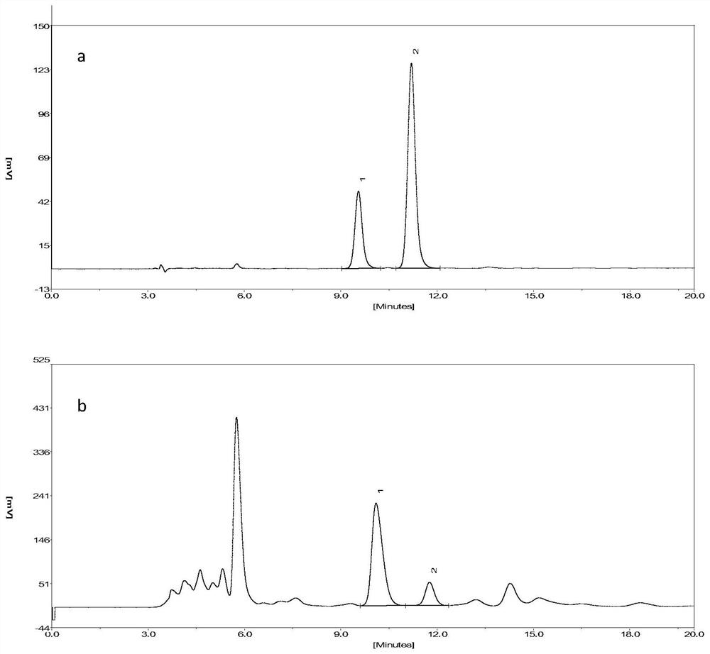 A deep eutectic solvent-water mixture for synchronously extracting salidroside and tyrosol in Rhodiola rosea and its preparation method and extraction method