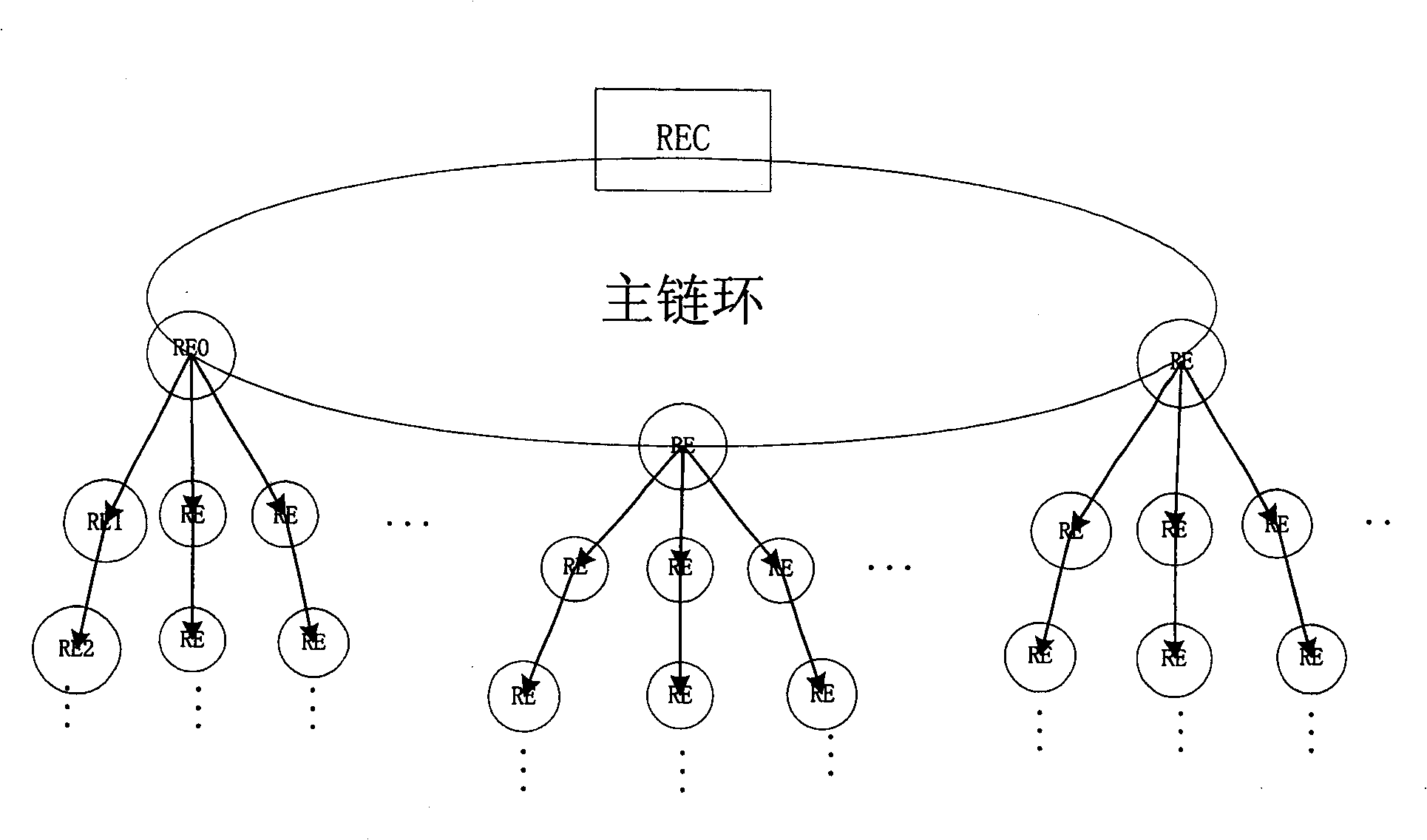 Method and system for acquiring topological information of radio network