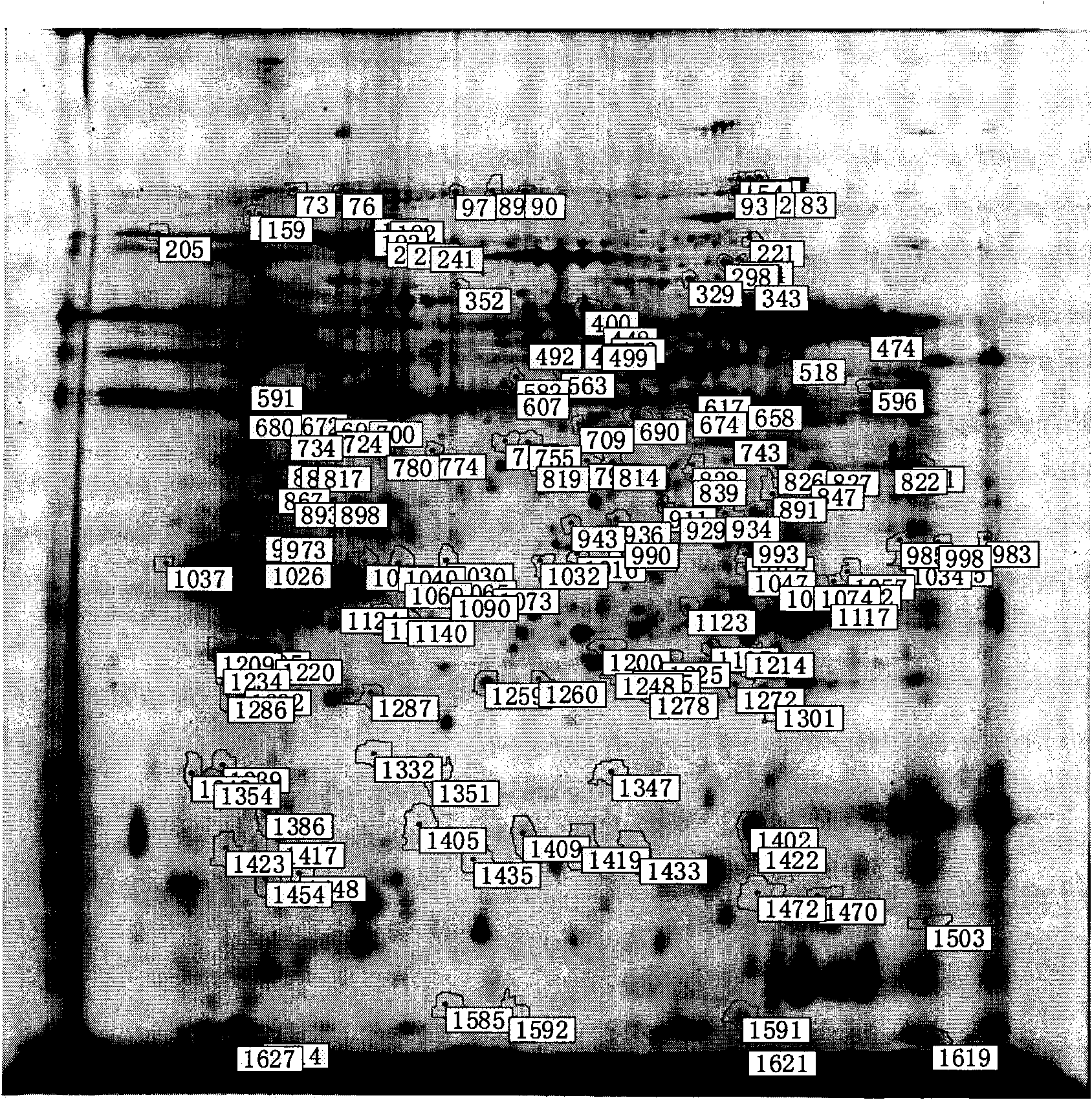 Related protein group with differential expression in early pancreatic cancer model and application thereof