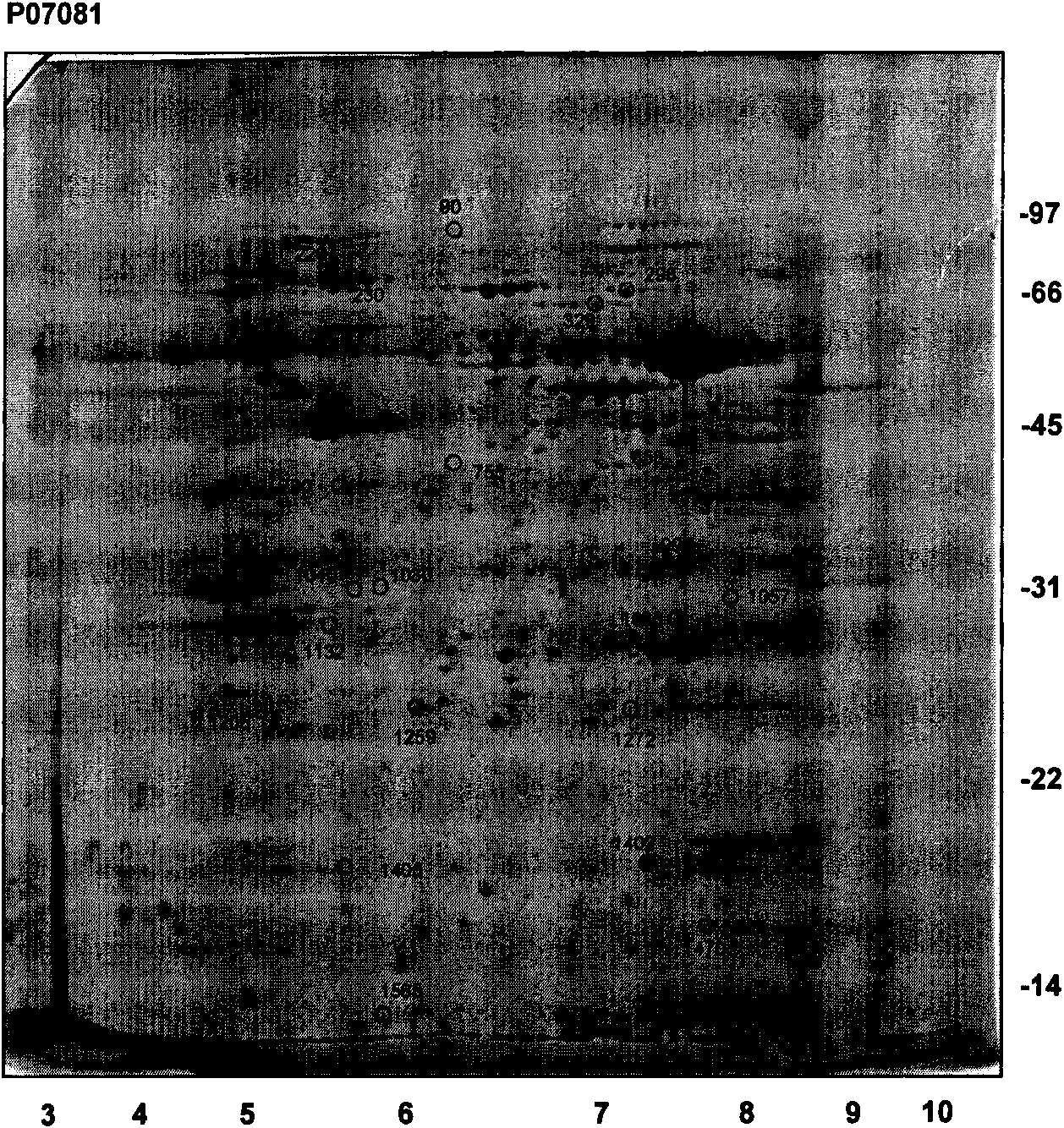 Related protein group with differential expression in early pancreatic cancer model and application thereof