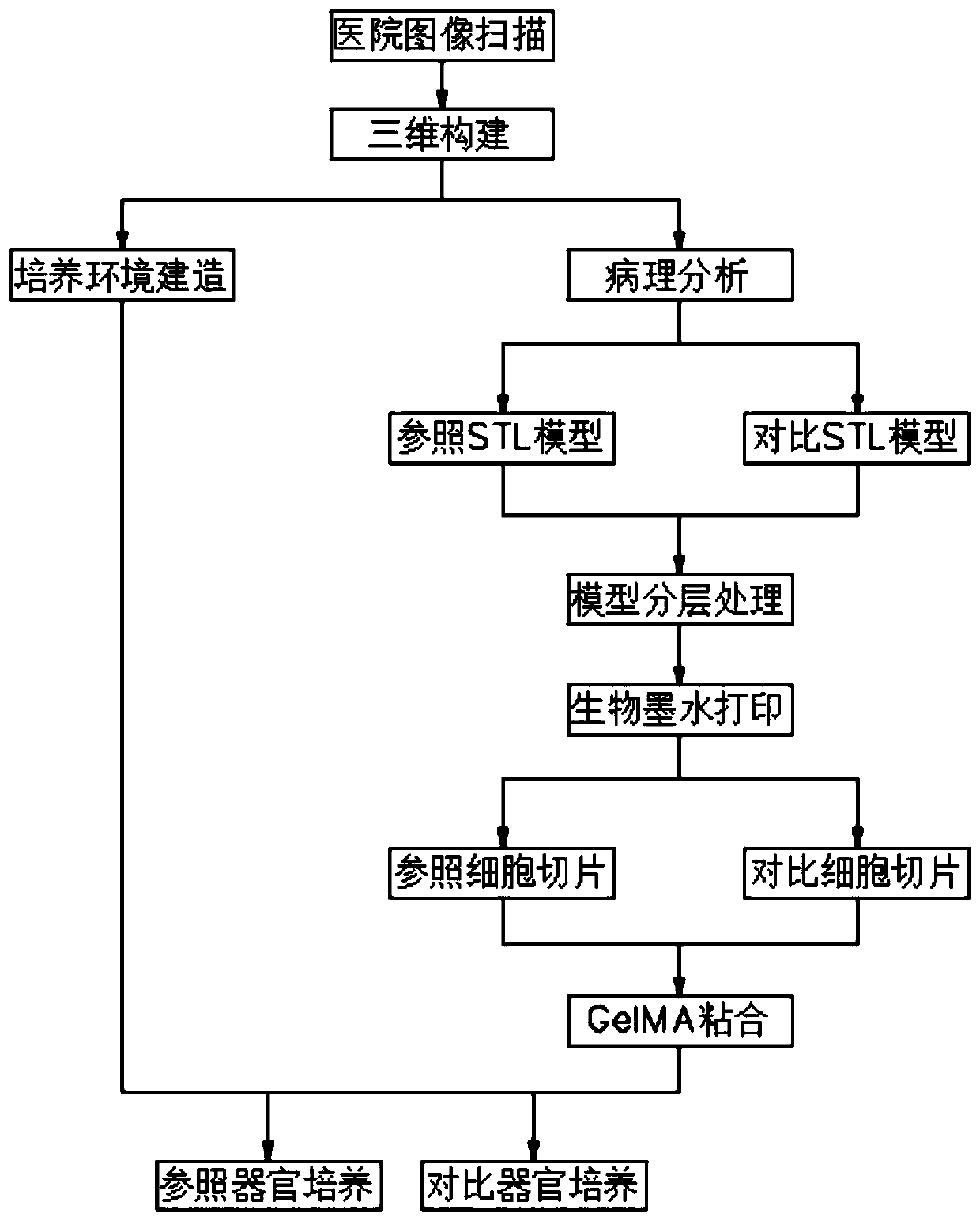 3D (Three Dimensional) printing equipment for printing artificial heart and bionic construction method of artificial heart