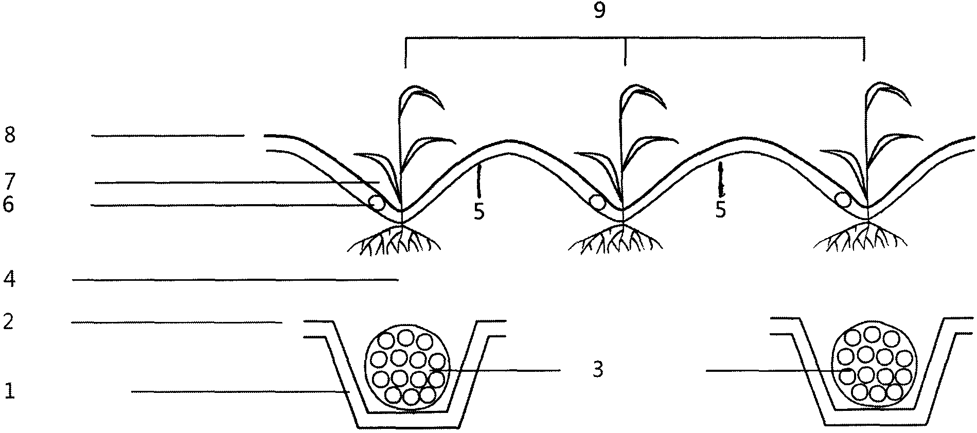 Integrated infiltrating irrigation cultivating method