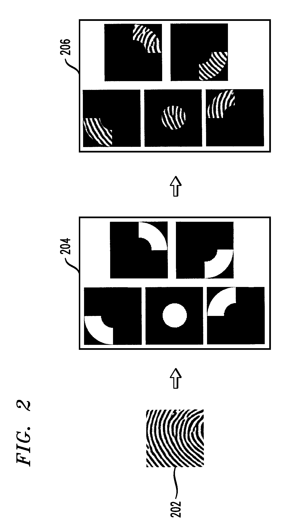 Fingerprint representation using gradient histograms
