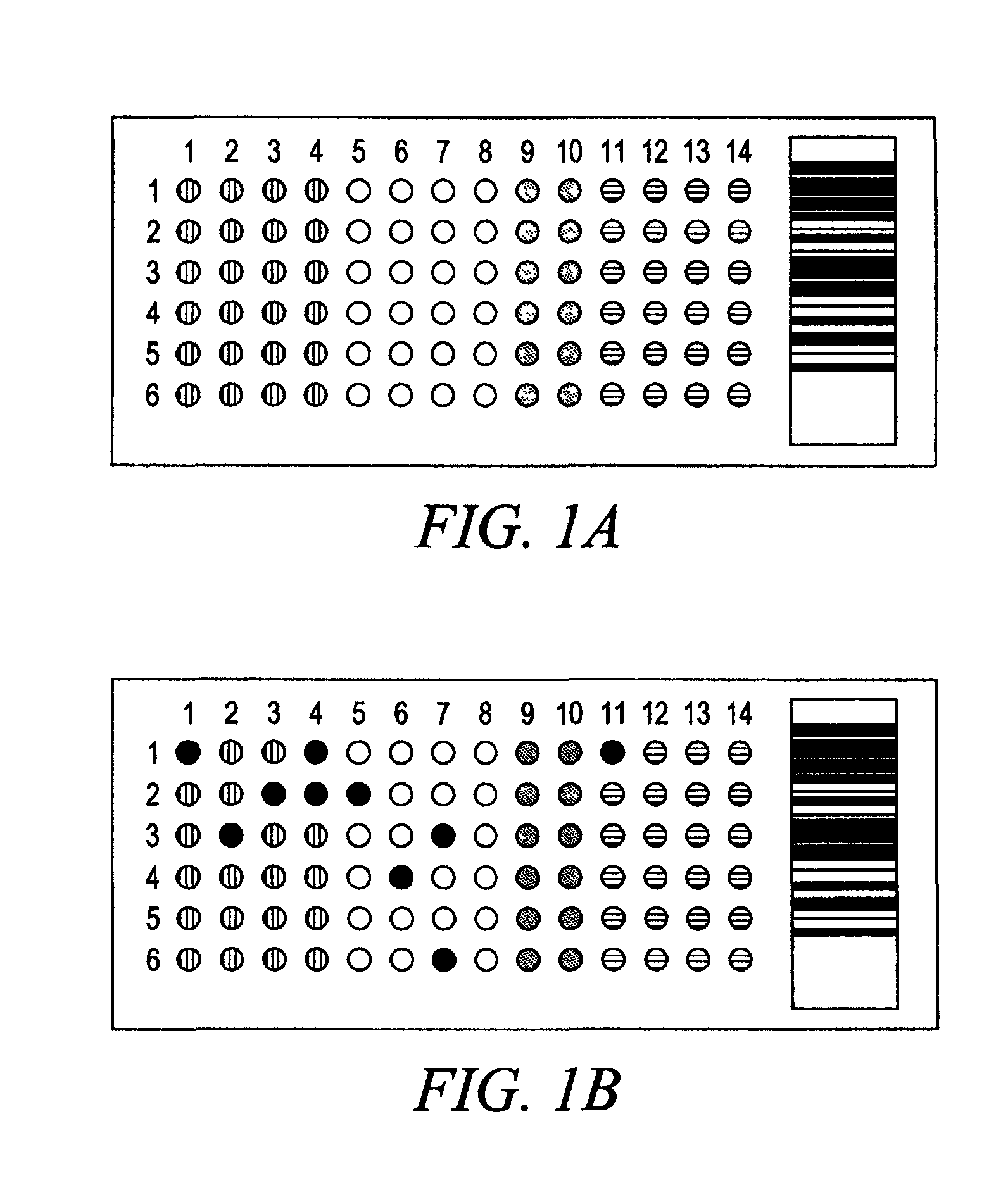 Compositions and Methods for Determining Immune Status