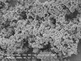 A preparation method of nano-sulfonated graphene and application of nano-sulfonated graphene as gene transfer material
