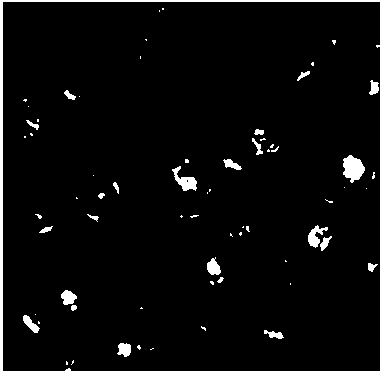 Online ash detection system for clean coal flotation, and online detection method implemented by system