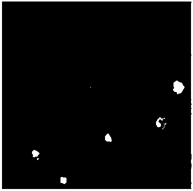 Online ash detection system for clean coal flotation, and online detection method implemented by system