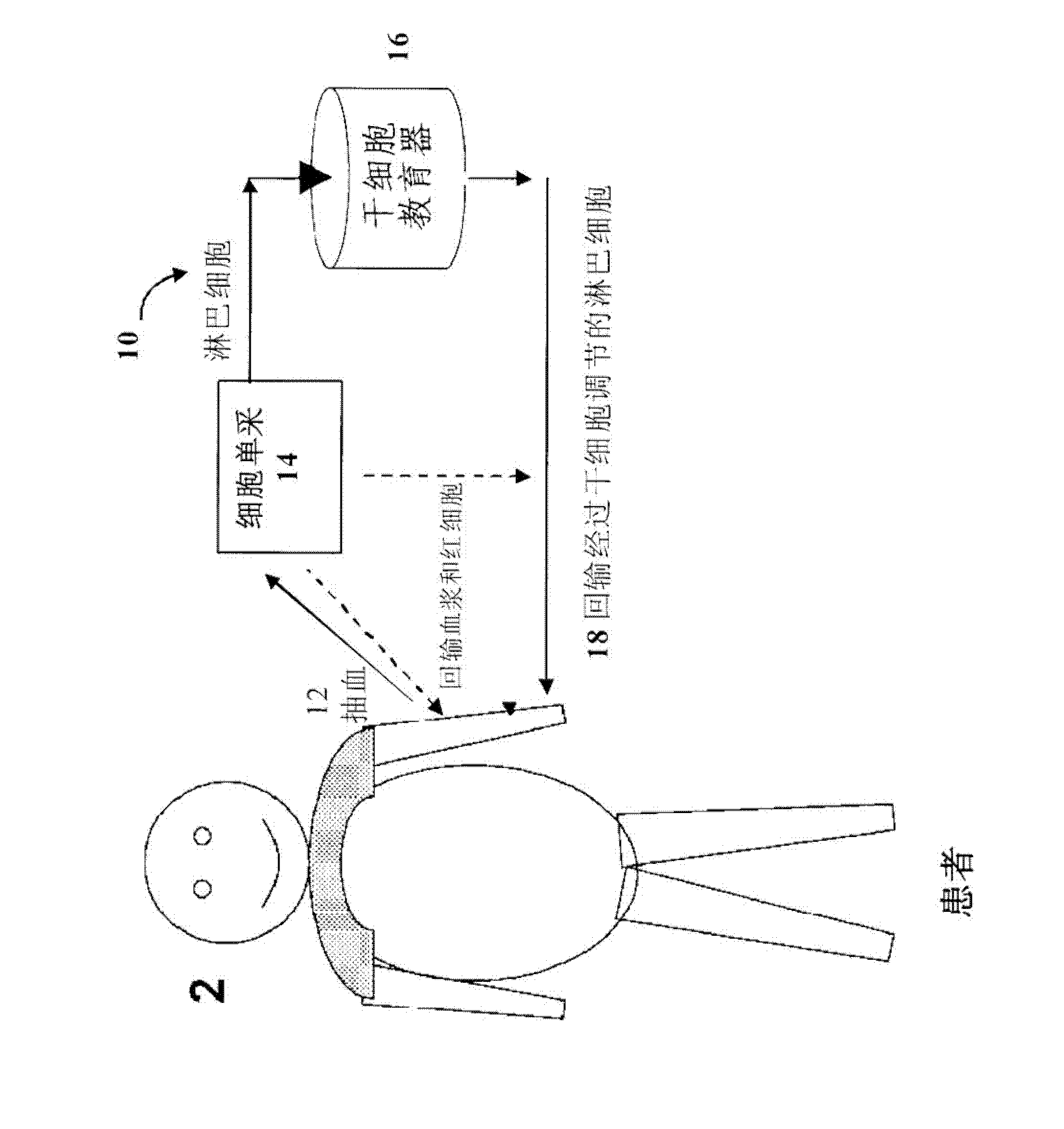 Stem cell immune modulation methods of use and apparatus