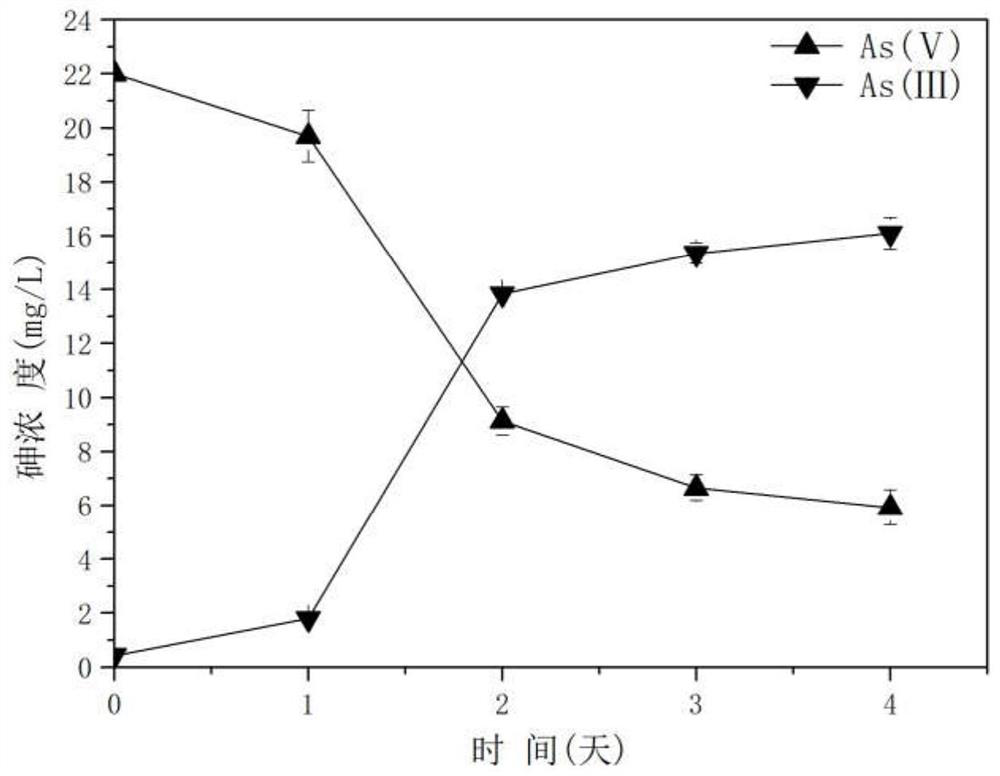 A Bacillus Strain with Efficient Anaerobic Reduction of Arsenic