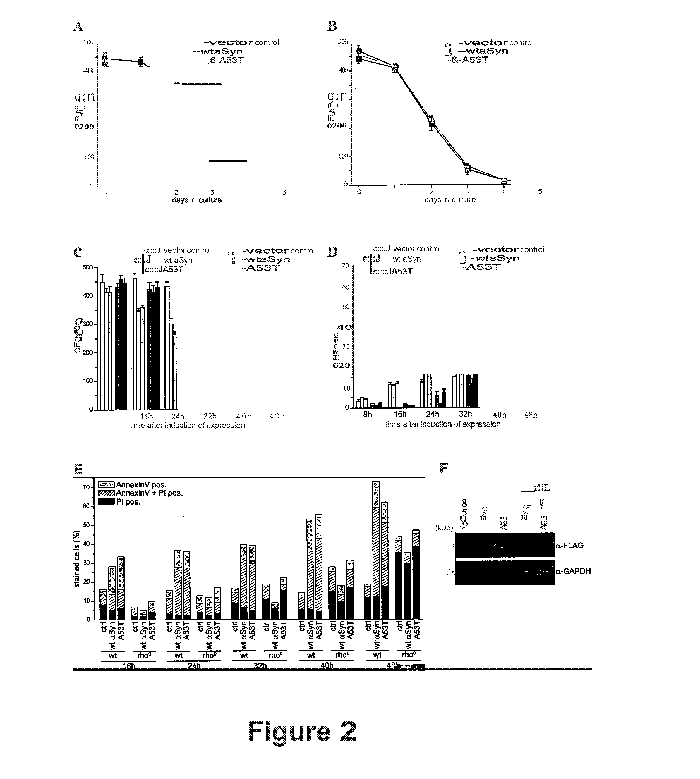 Alpha synuclein toxicity