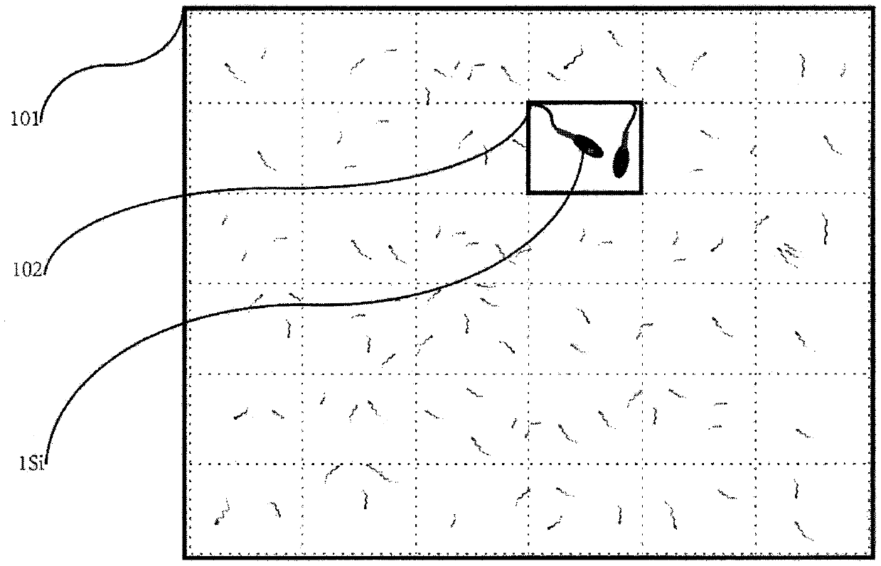 Novel sperm quality evaluation method