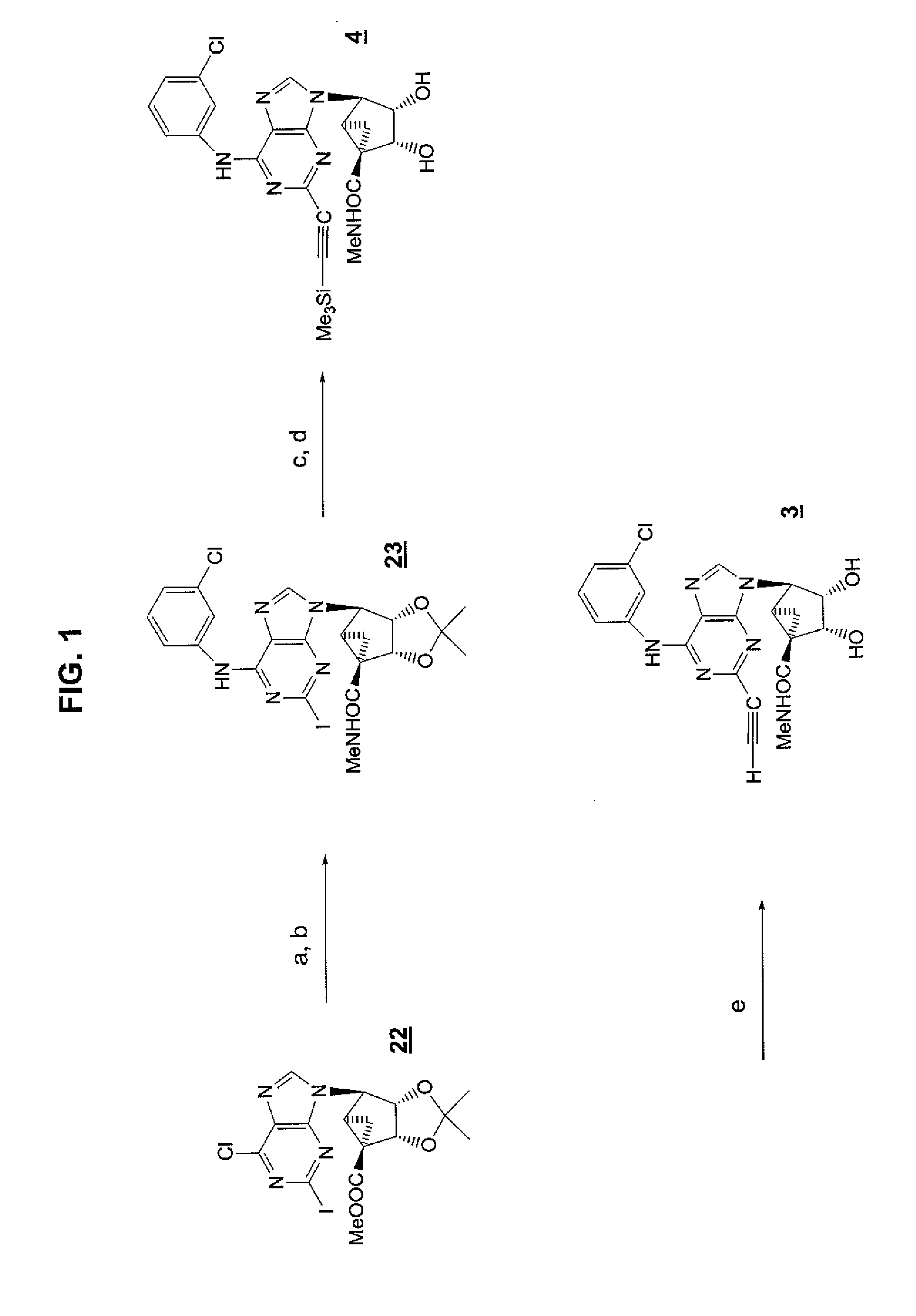 Purine derivatives as a3 adenosine receptor-selective agonists