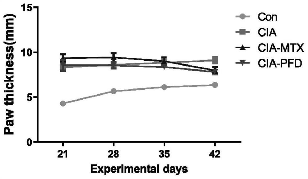 Application of pirfenidone to preparation of medicine for preventing and treating rheumatoid arthritis