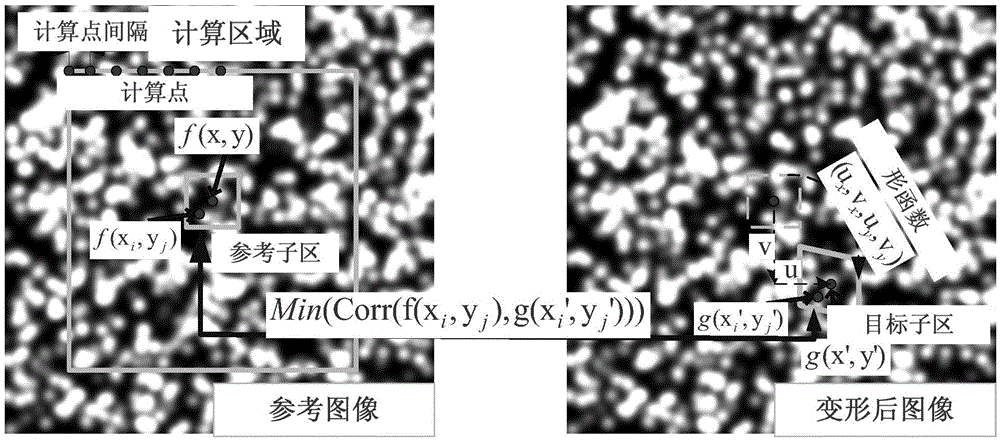 Deformation speckle generation method based on reverse mapping method
