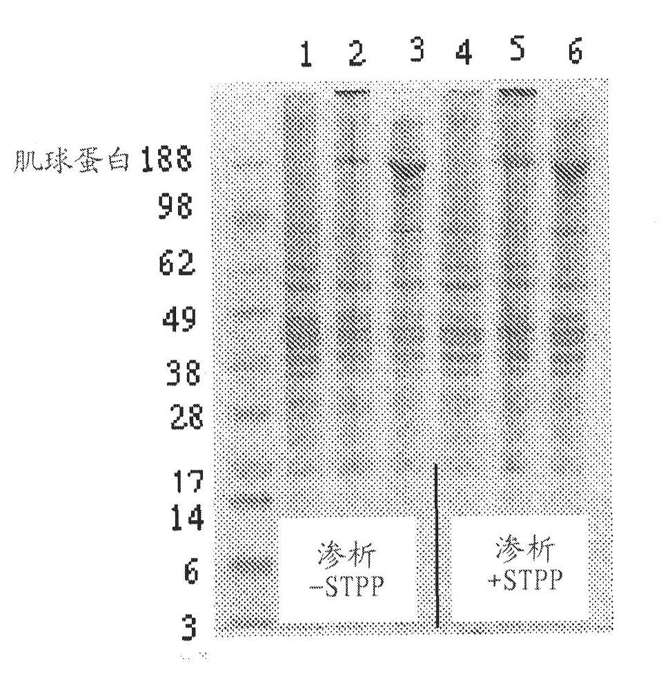 Improving enzymatic treatment of a proteinaceous substrate by enzymatic removal of free thiols