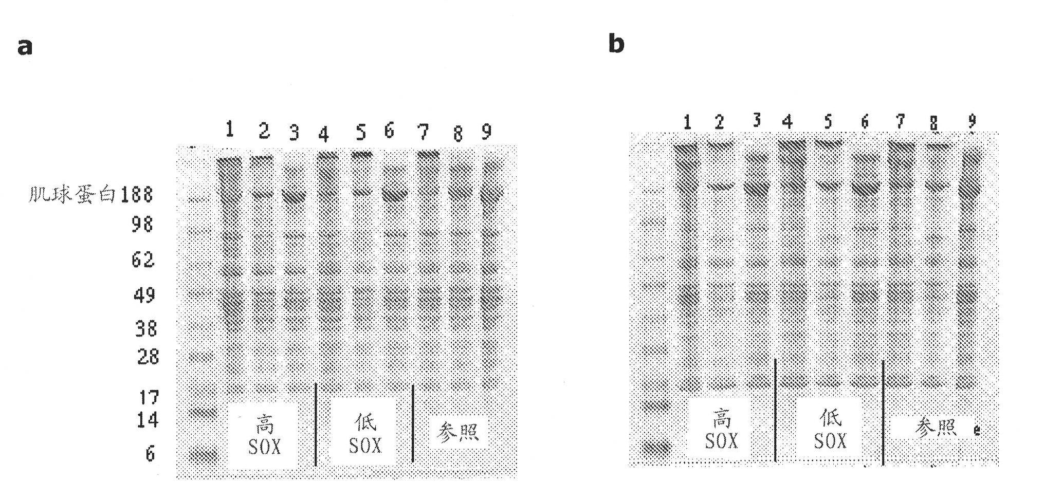 Improving enzymatic treatment of a proteinaceous substrate by enzymatic removal of free thiols