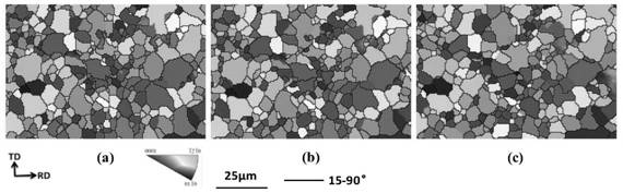 In-situ EBSD observation method for microscopic orientation evolution of recrystallized grains of magnesium alloy