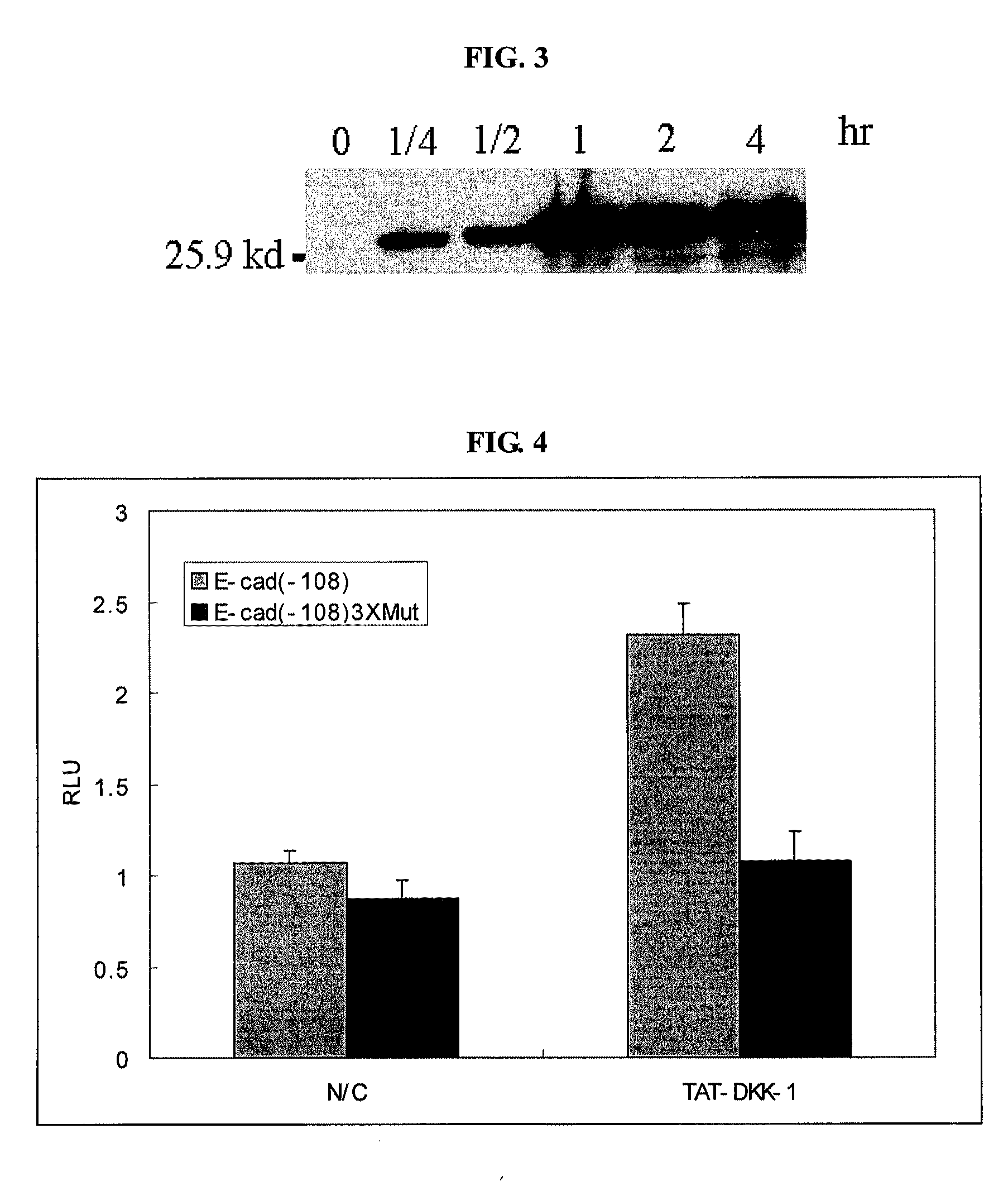 Non-activated wnt inhibition polypeptides and method for preparing the same