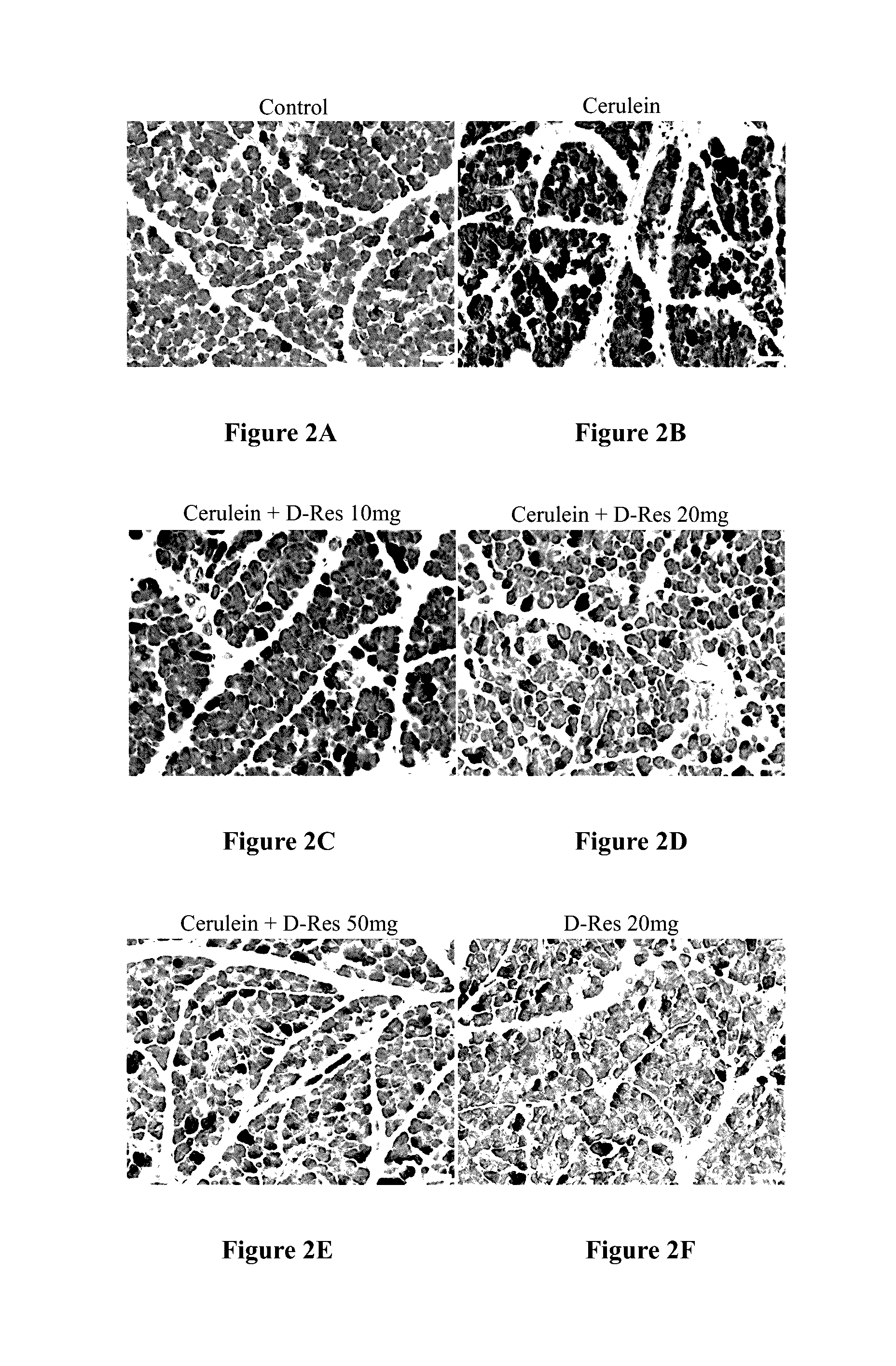 Skin-protection composition containing dendrobium-based ingredients
