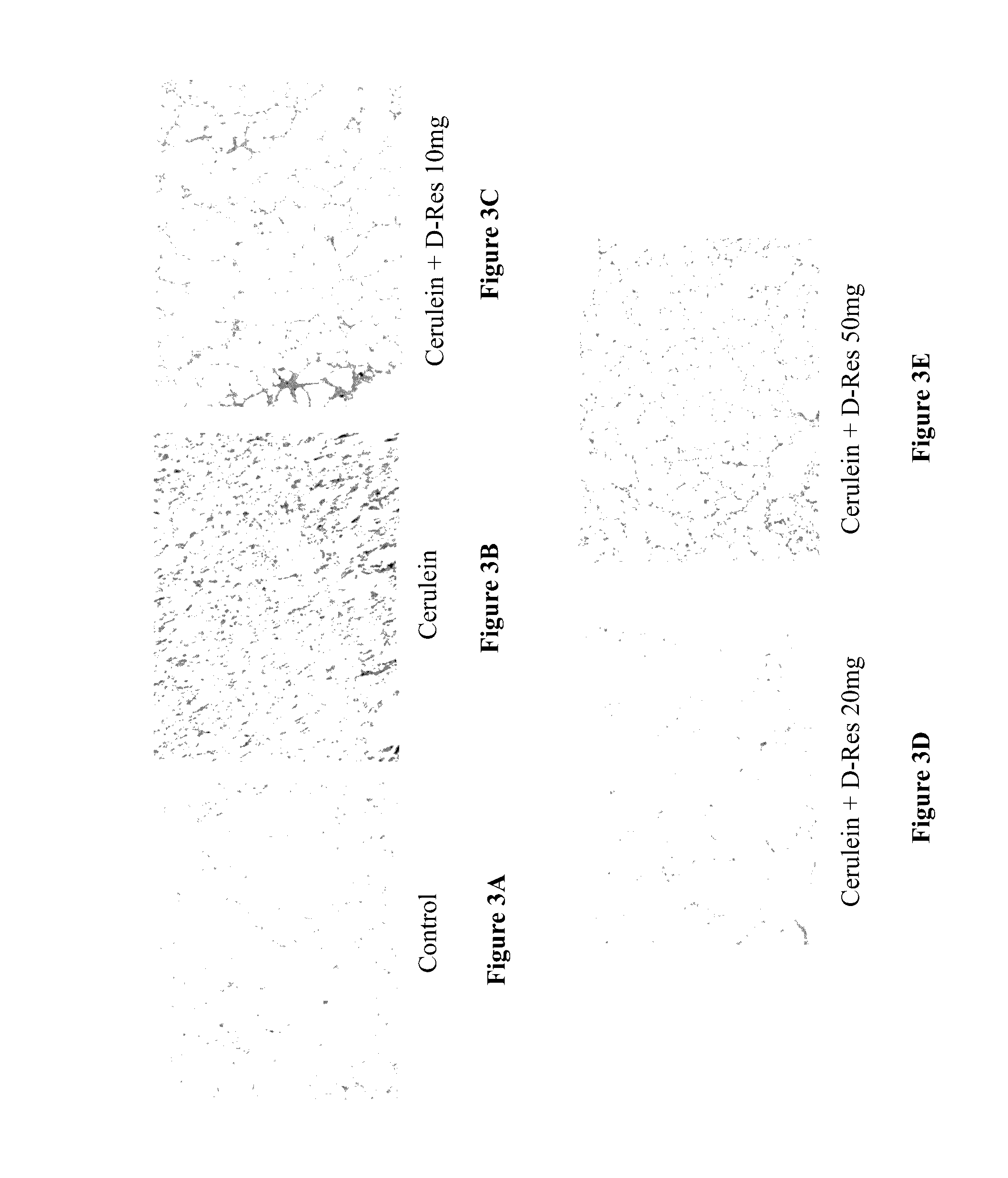 Skin-protection composition containing dendrobium-based ingredients