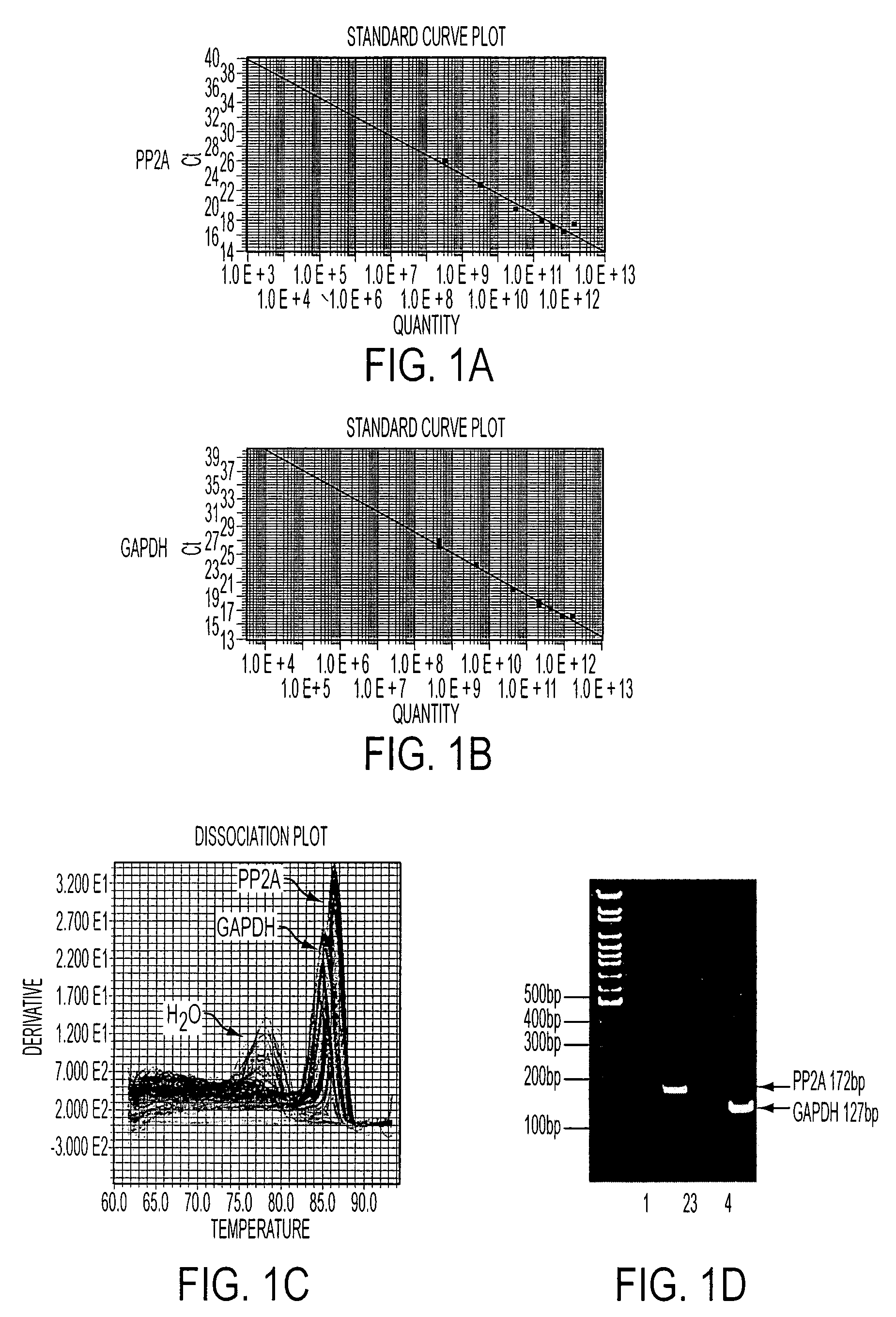 Abnormalities of Phosphatase 2A (PP2A) for Diagnosis and Treatment of Alzheimer's Disease