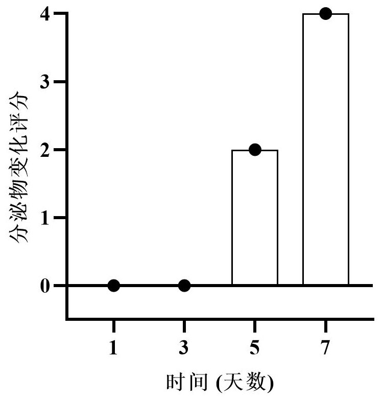 Construction method of infectious anal fistula animal model