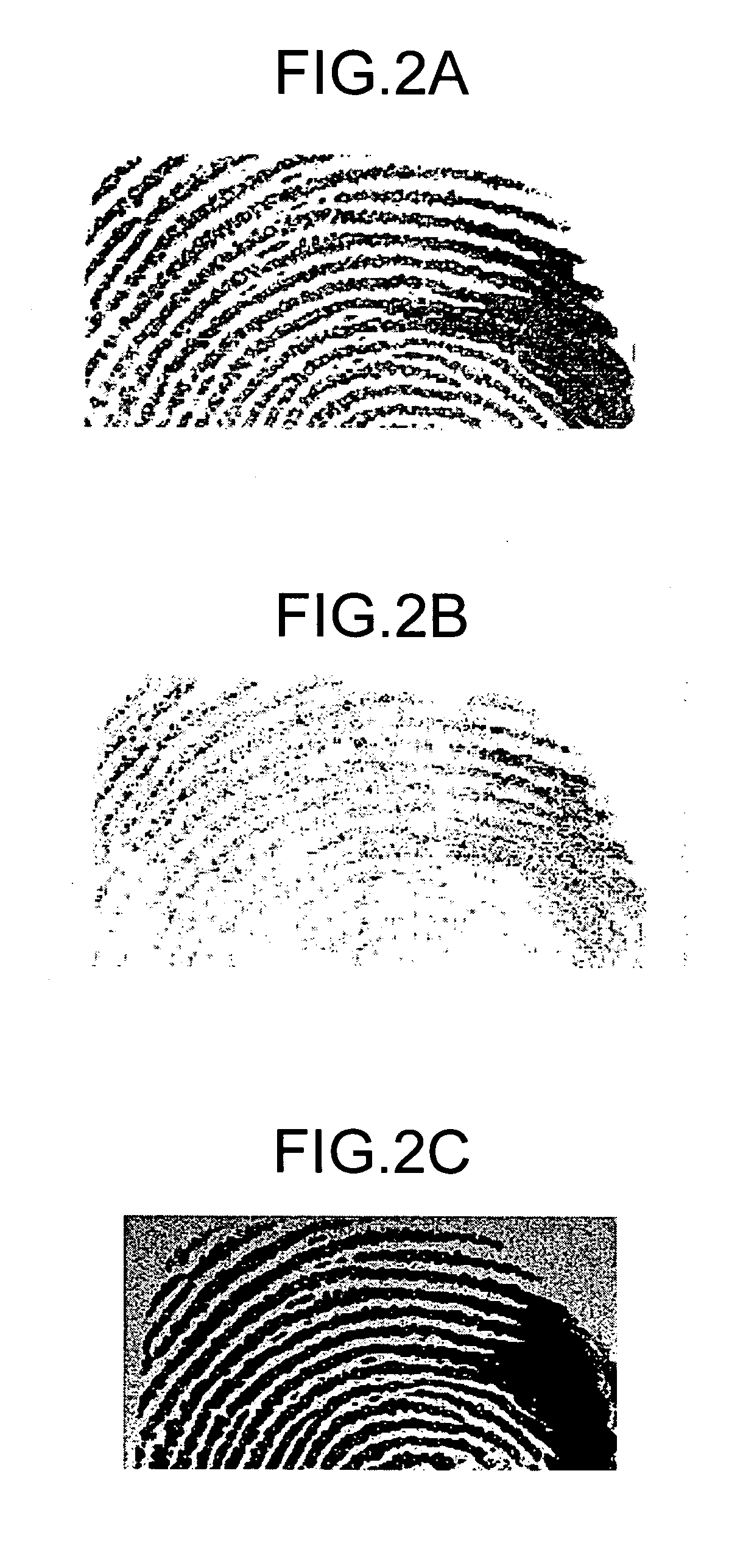 Fingerprint authentication device and information processing device