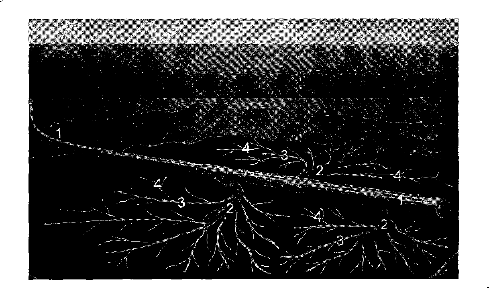 Method for promoting thick oil oilfield oil well oil production