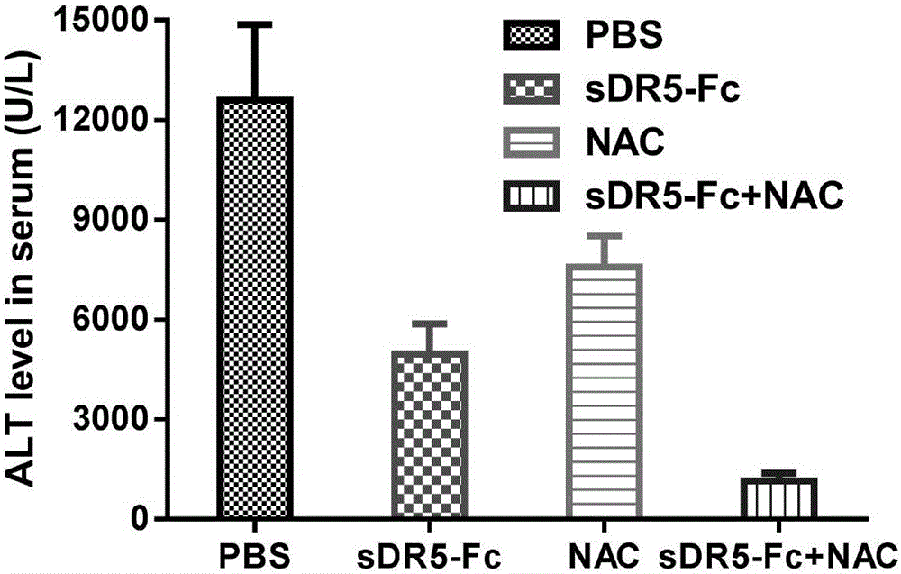 Human sDR5-Fc recombinant fusion protein and novel application thereof