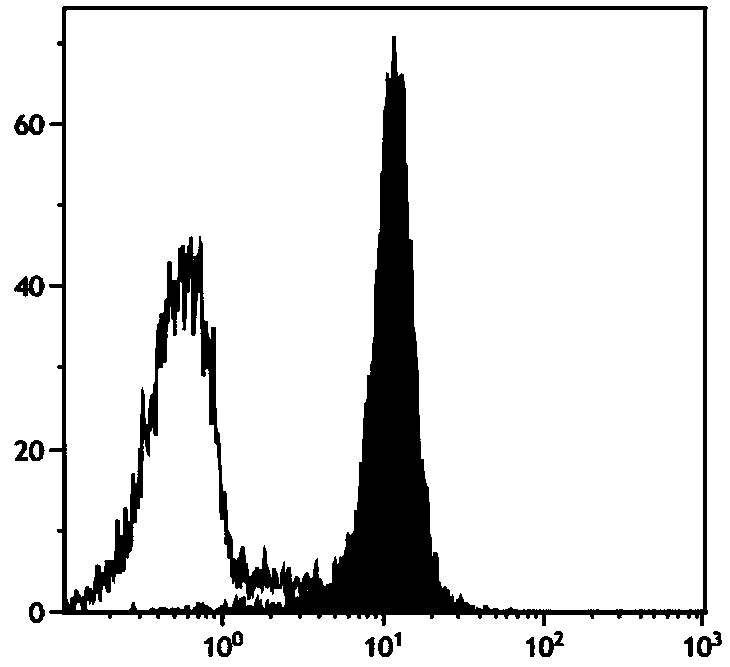 Method for in-vitro large-scale induction of NK cell expansion