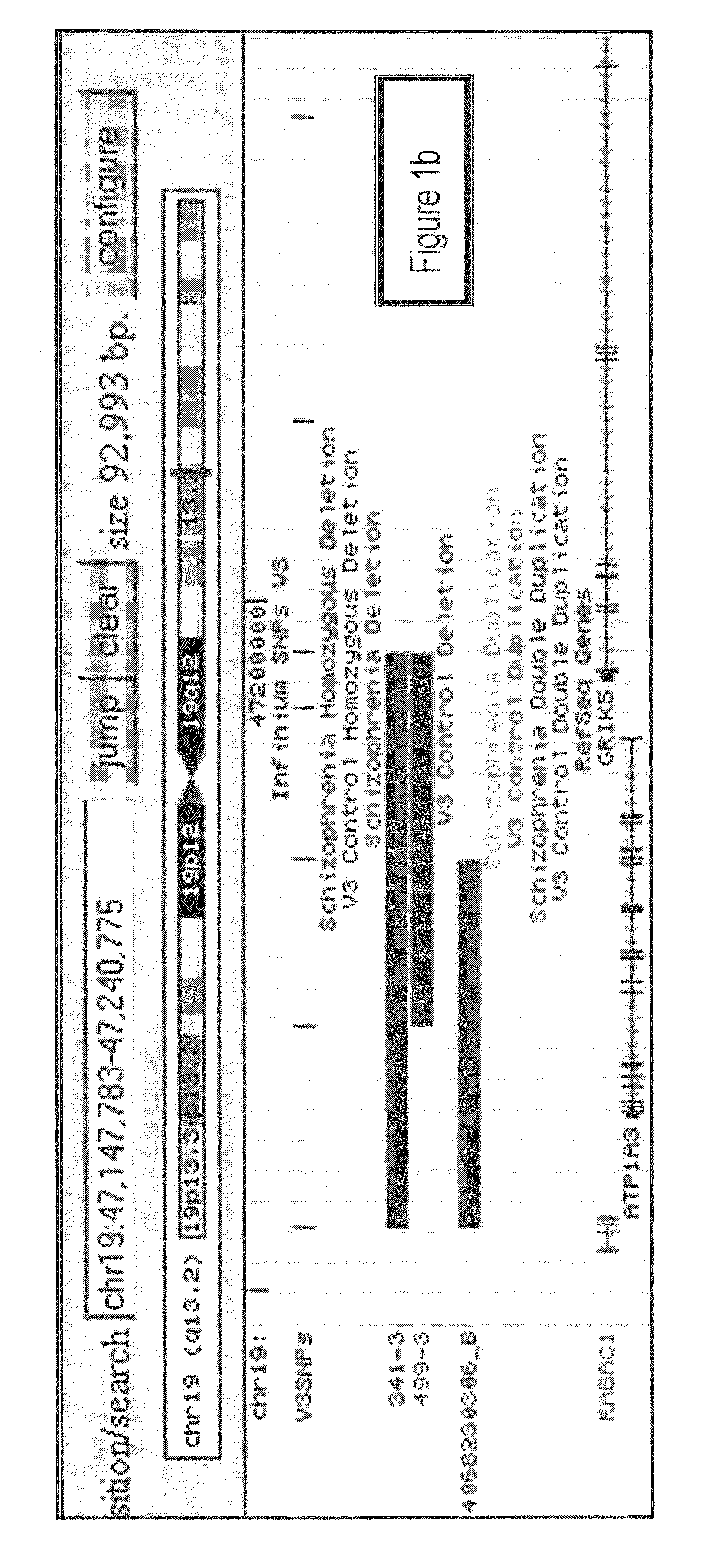 Genetic Alterations Associated with Schizophrenia and Methods of Use Thereof for the Diagnosis and Treatment of the Same