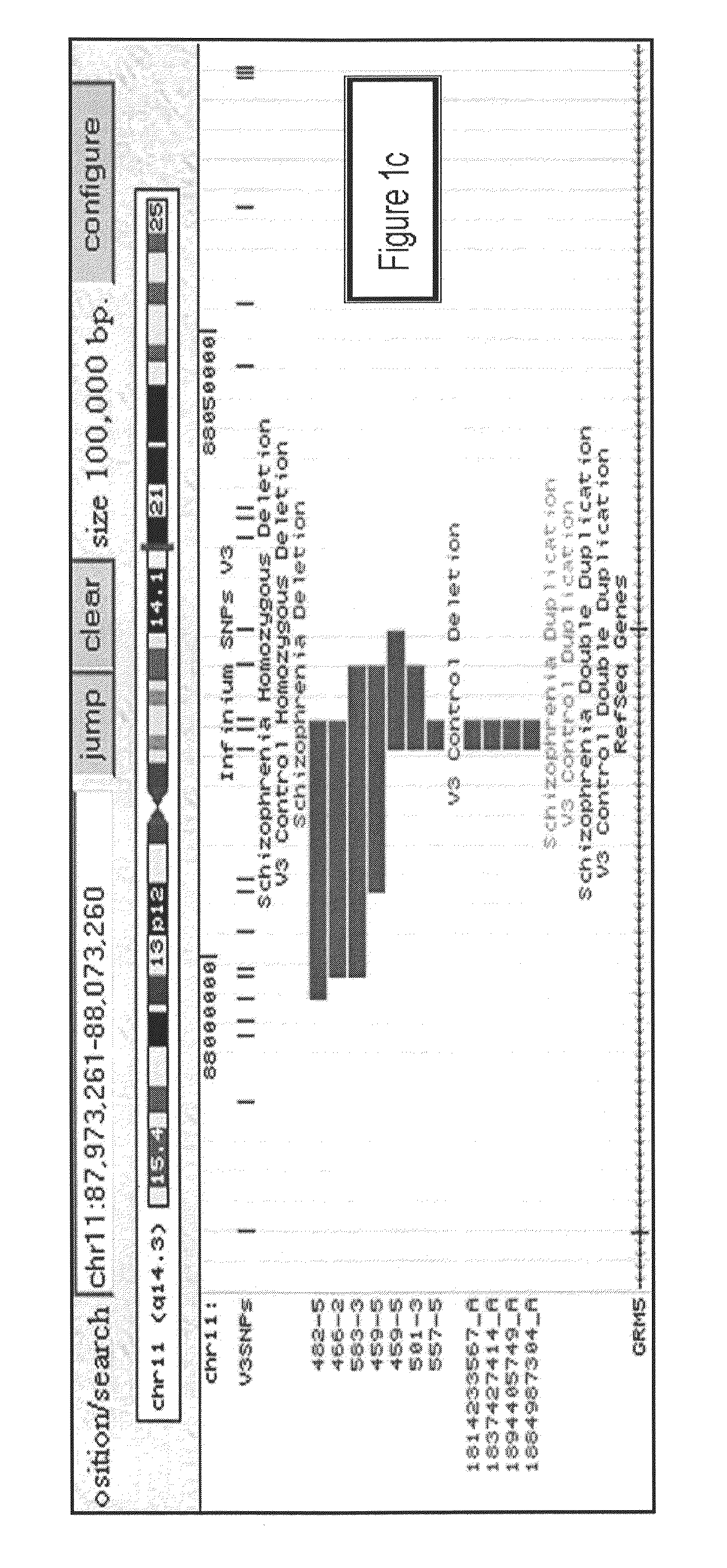 Genetic Alterations Associated with Schizophrenia and Methods of Use Thereof for the Diagnosis and Treatment of the Same