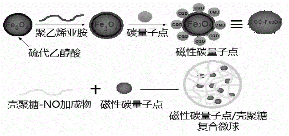 Method for preparing drug carrier based on magnetic carbon quantum dot/chitosan composite microsphere