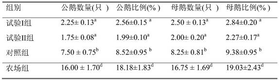 Compound feed additive for preventing goose wing turning disease and goose feed thereof