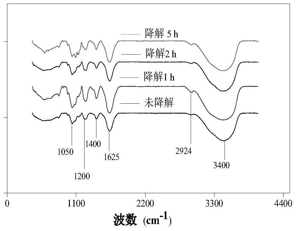 A kind of sea wormwood polysaccharide with anti-oxidation and regulating intestinal flora effect and its preparation method and application