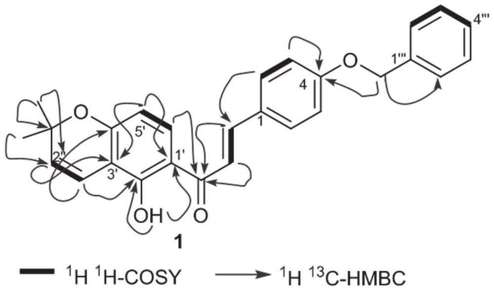 A chalcone compound and its preparation method from buttercup thorn