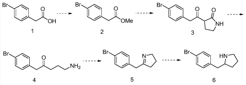 2-(4-bromine benzyl) pyrrolidine preparation method