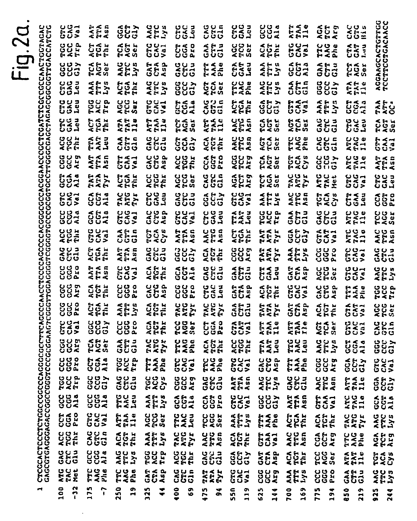 Methods and deoxyribonucleic acid for the preparation of tissue factor protein