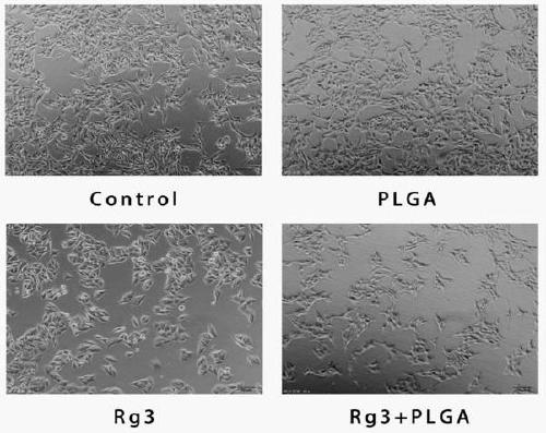 A 20(R)-ginsenoside Rg3 sustained-release nanosphere combination and its preparation method
