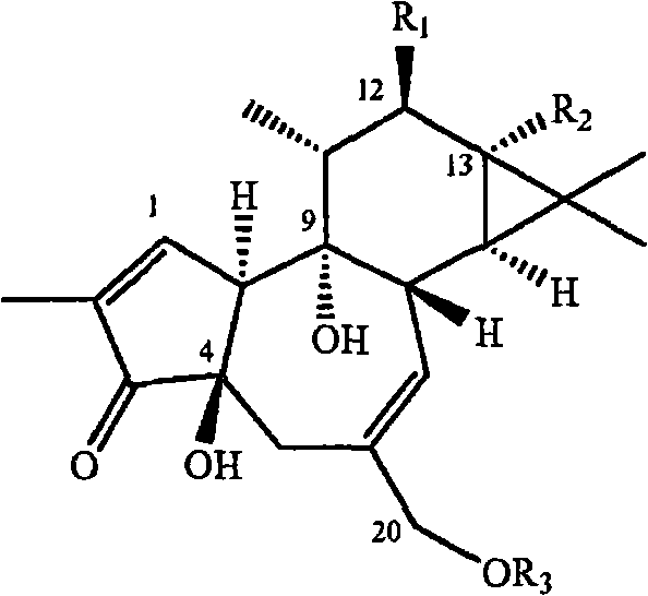 Compositions and methods of use of phorbol esters