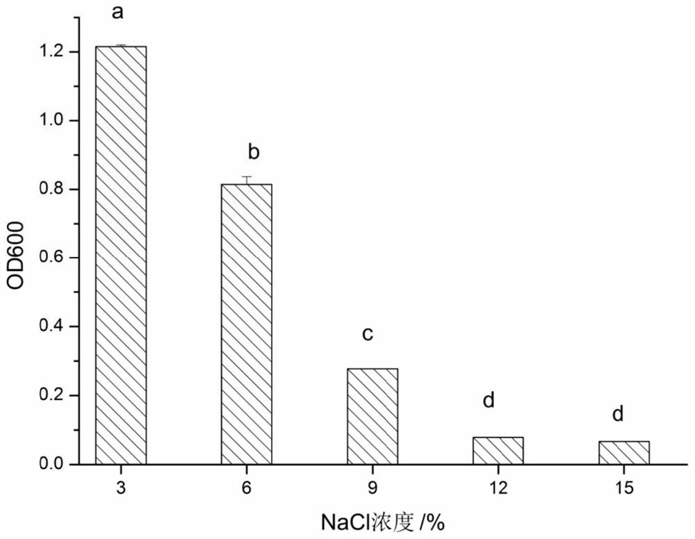 Lactobacillus fermentum cd110 and its application in the preparation of fermented sausage