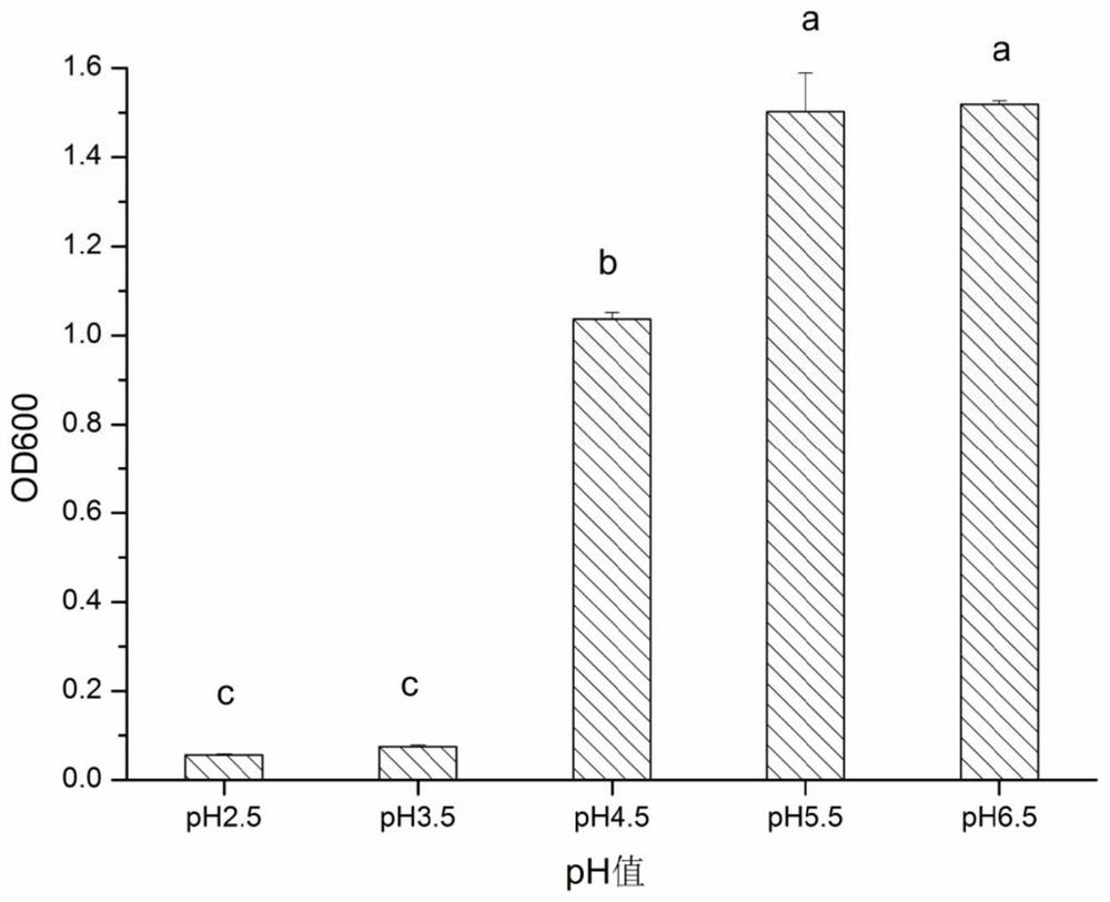 Lactobacillus fermentum cd110 and its application in the preparation of fermented sausage