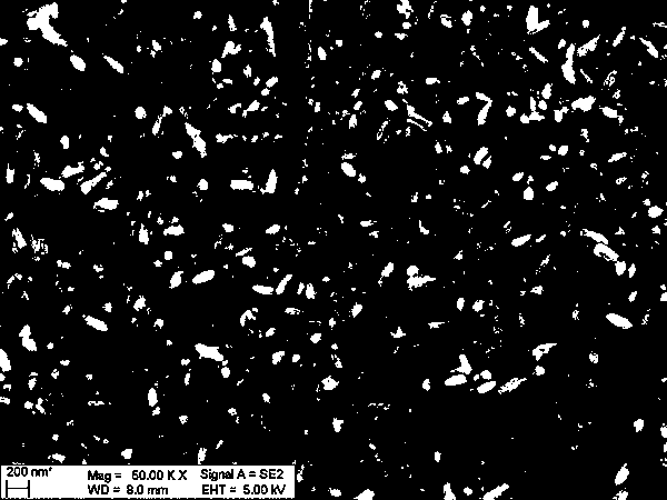 Negative electrode material for zinc-nickel battery, preparation method thereof, and battery using the same