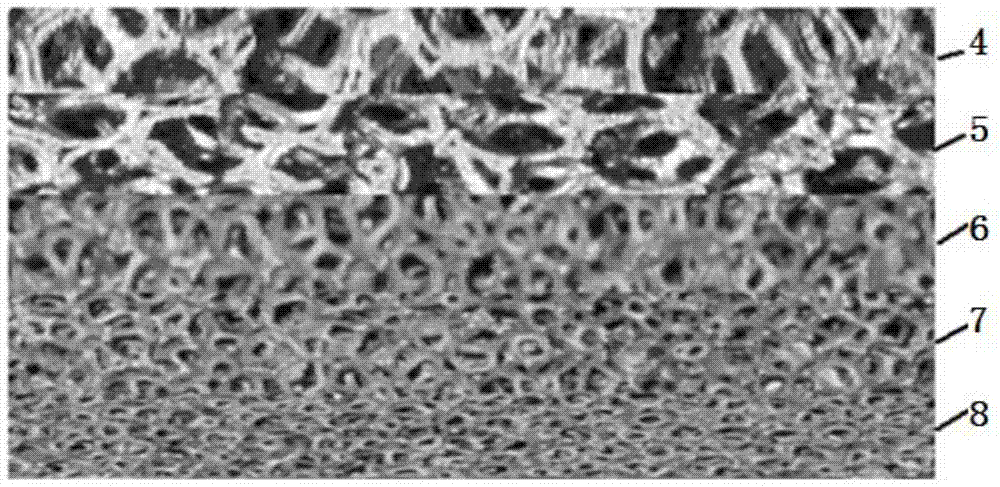 Heat exchange device of gradually-varied hole density of through hole metal foam heat pipe