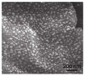 Graphene/silicon carbide nanowire compound structure thermal interface material