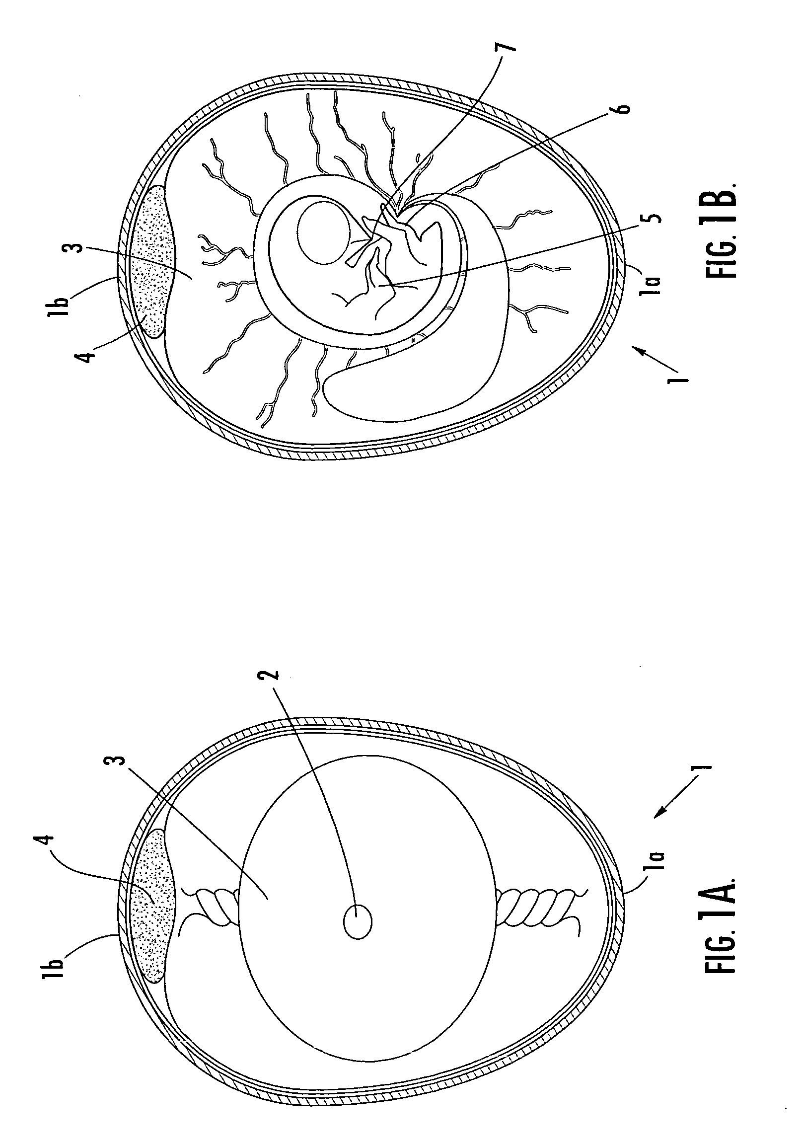 Methods and apparatus for harvesting vaccine from eggs