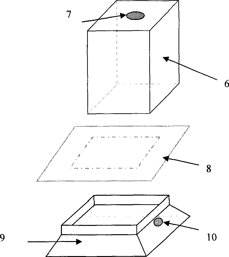 Apparatus for improving absorption rate and emission rate in infrared heat wave nondestructive detection