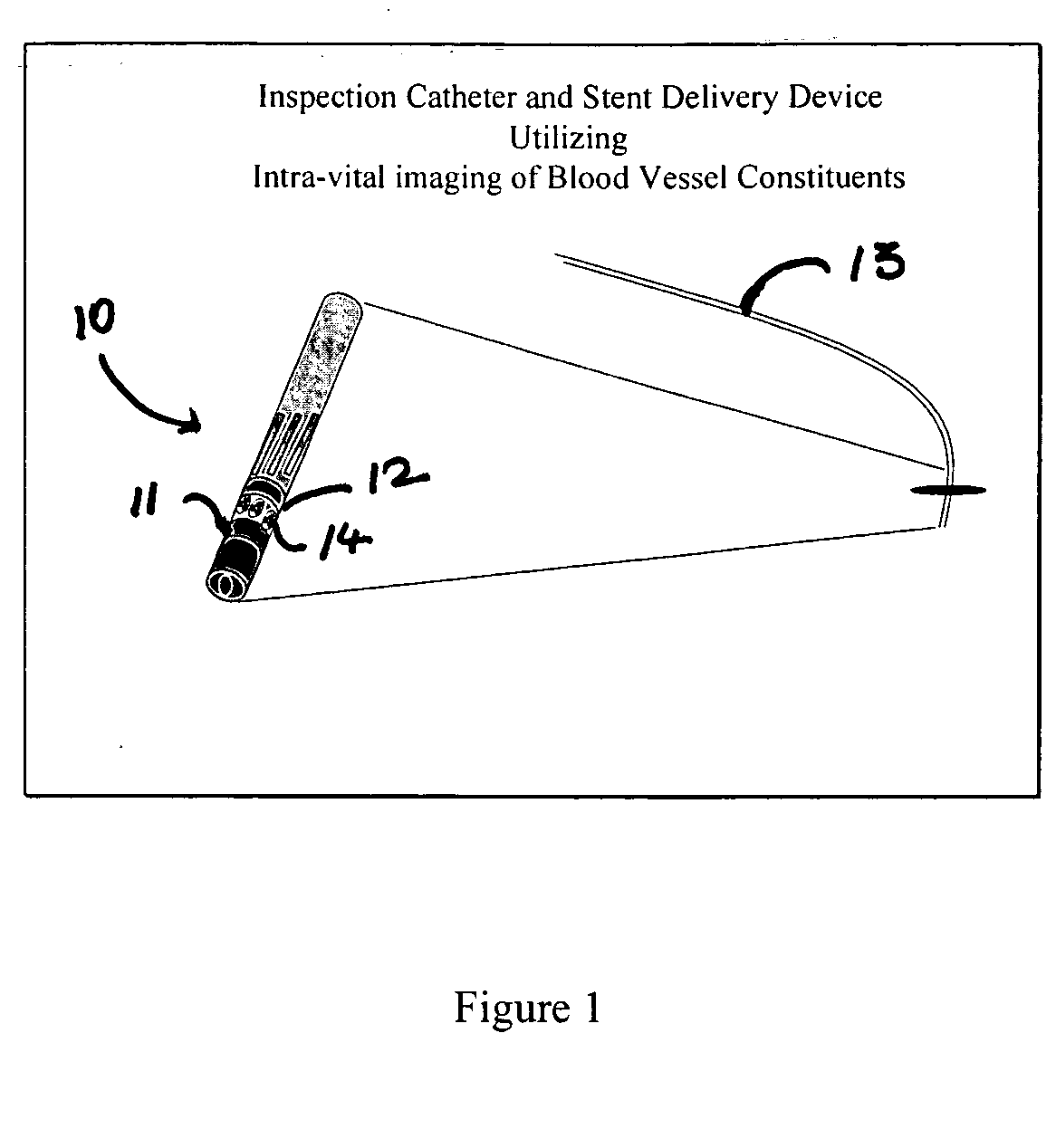 Intravascular imaging device and uses thereof