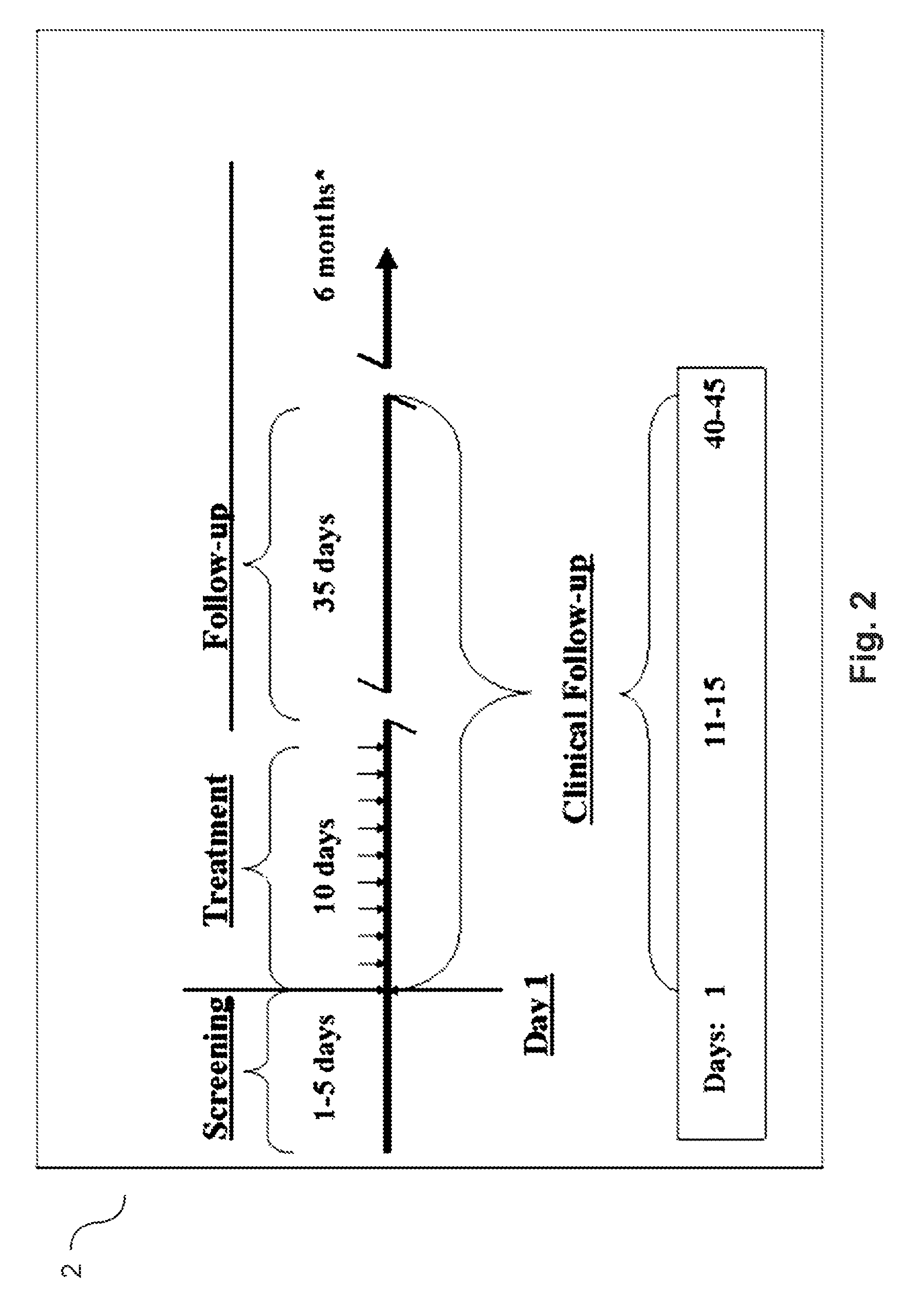 Agmatine containing dietary supplements, nutraceuticals, and foods