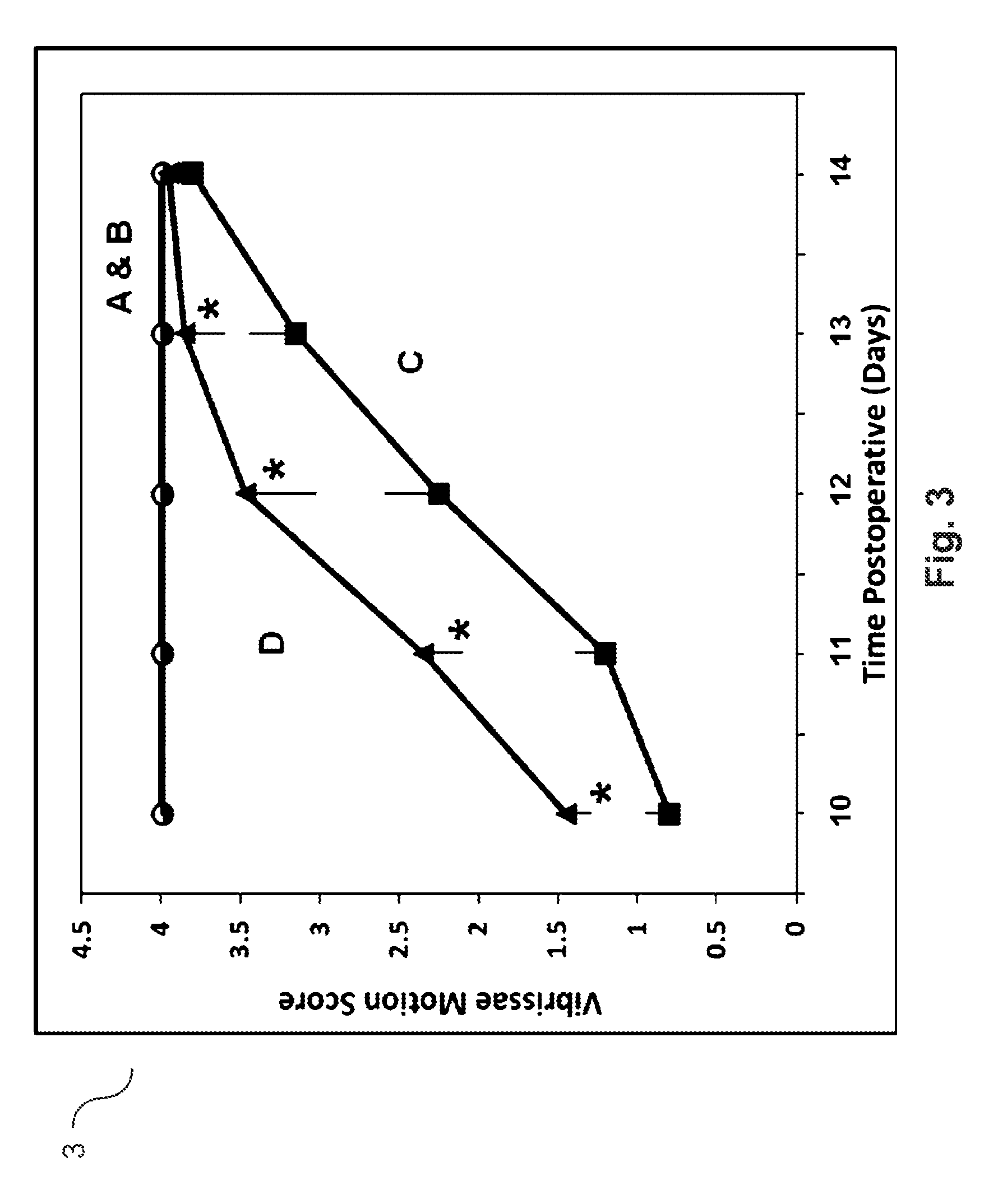 Agmatine containing dietary supplements, nutraceuticals, and foods